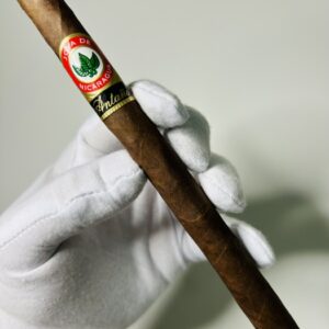 Joya de Nicaragua Antaño Lancero