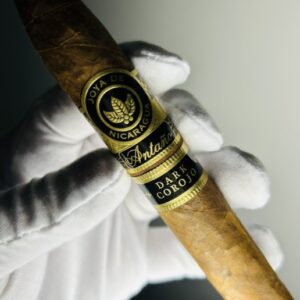 JDN Dark Corojo Figurado